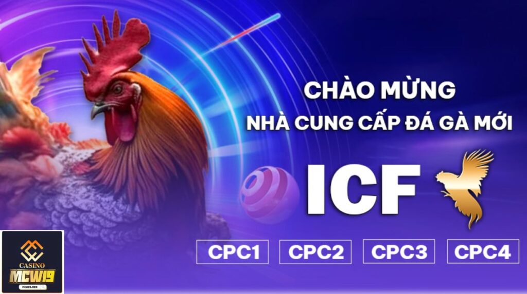 Đá Gà ICF